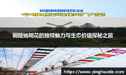 铜陵姚明花的独特魅力与生态价值探秘之旅